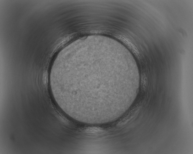 X0000116300397200912291436