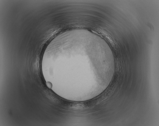 X0000116300398200912291436