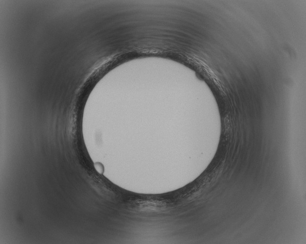 X0000116300400200912291436