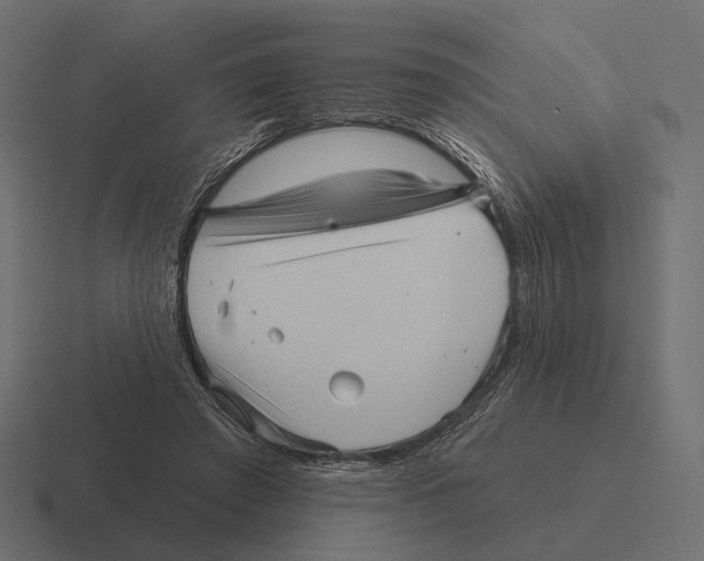 X0000116300401200912291436