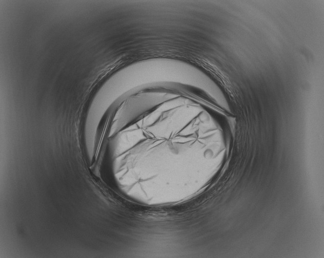 X0000116300405200912291435