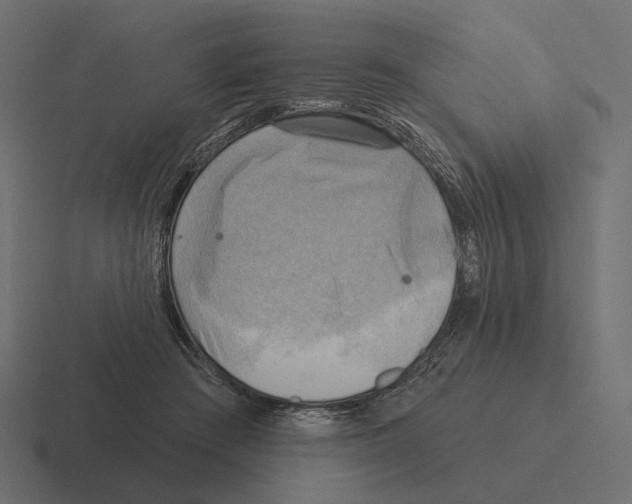 X0000116300409200912291435