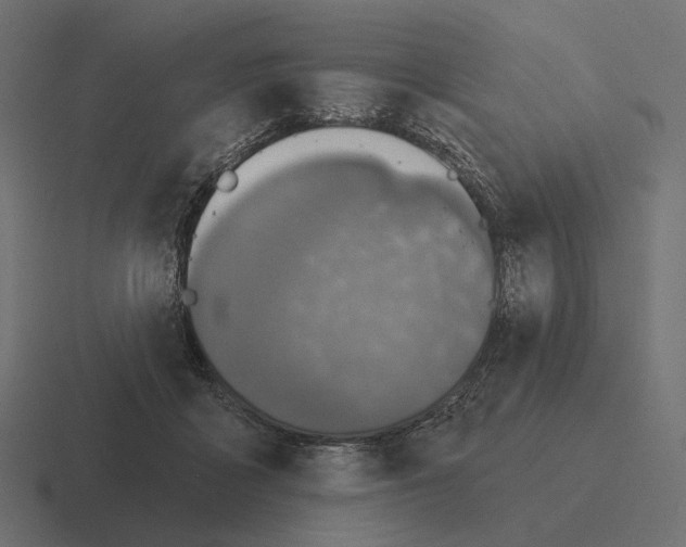 X0000116300411200912291435