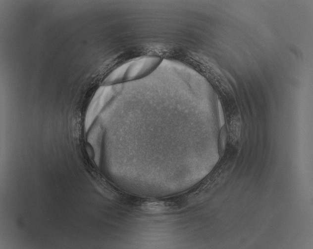 X0000116300413200912291435