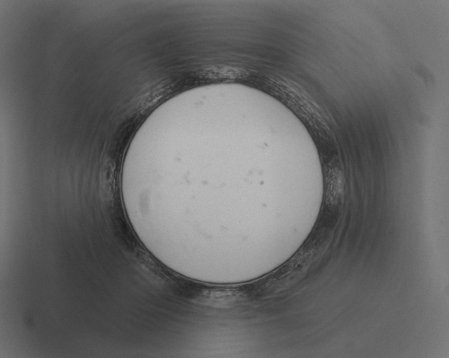 X0000116300414200912291435