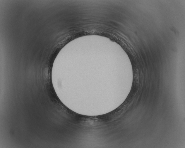 X0000116300420200912291435