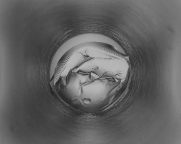 X0000116300421200912291435