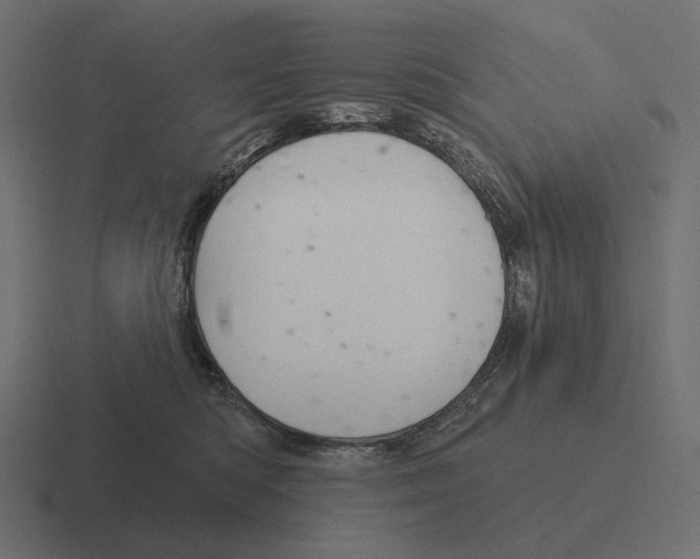 X0000116300422200912291435