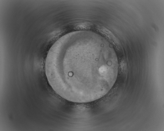 X0000116300423200912291435