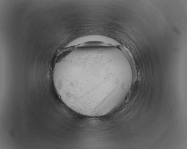 X0000116300424200912291435