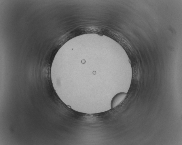 X0000116300425200912291435