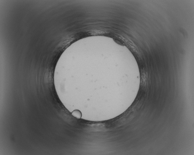 X0000116300426200912291435