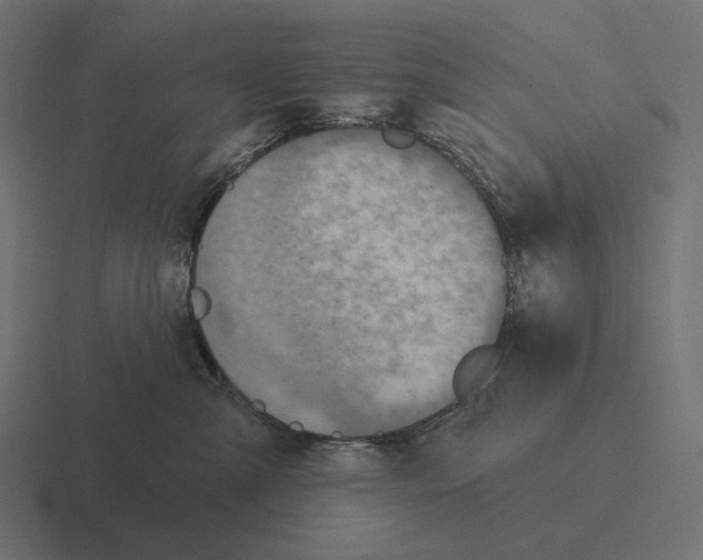 X0000116300427200912291435