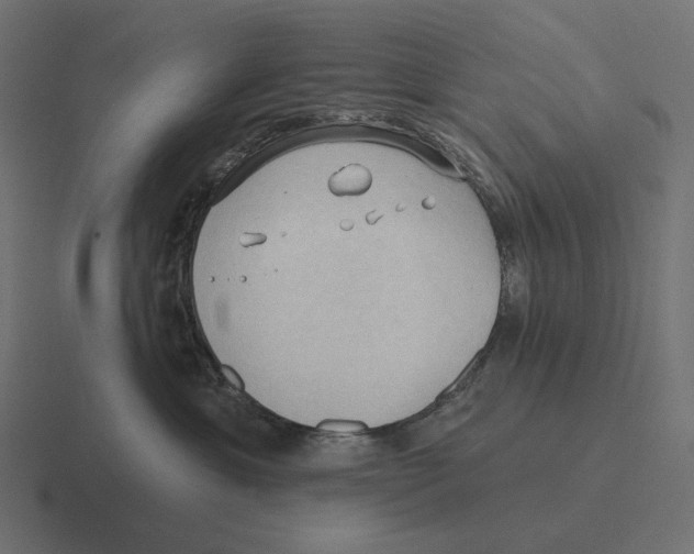 X0000116300429200912291435