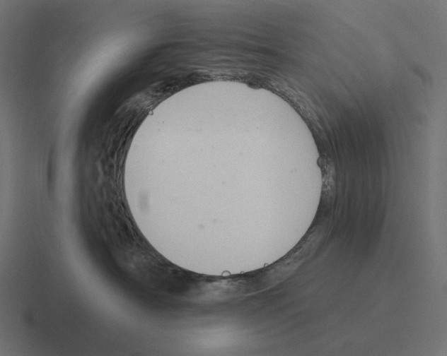 X0000116300430200912291435