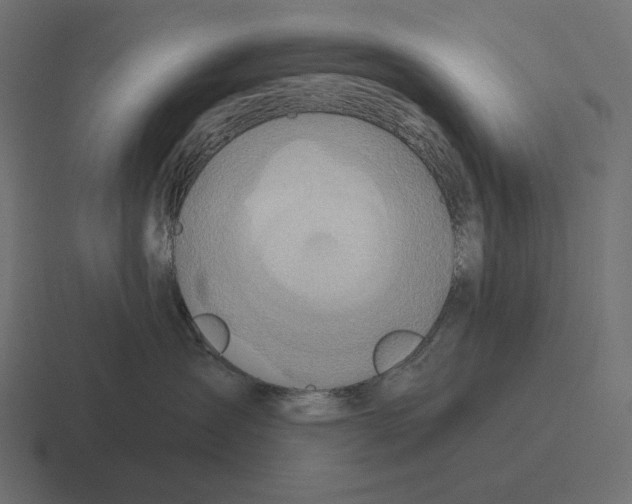 X0000116300431200912291435