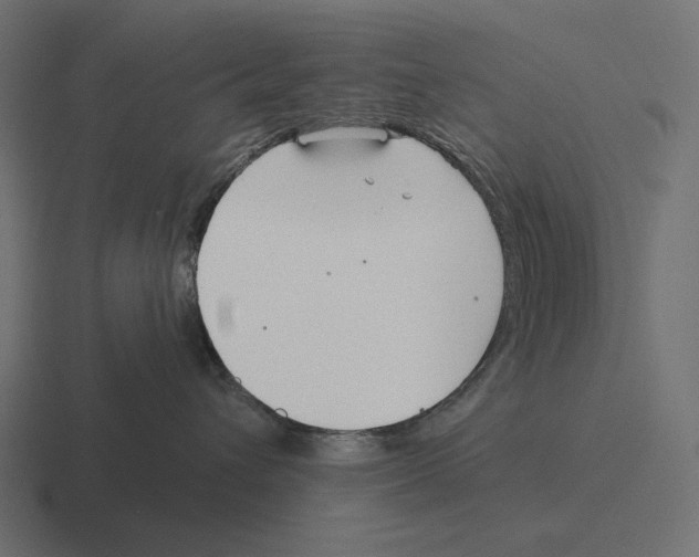 X0000116300432200912291435