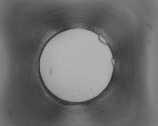 X0000116300433200912291435