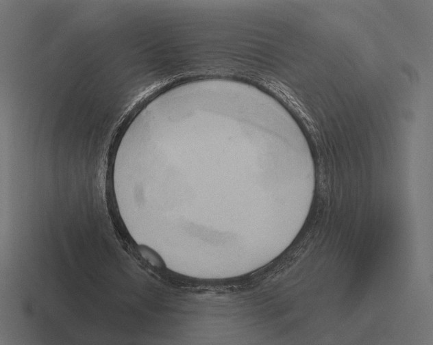 X0000116300434200912291435