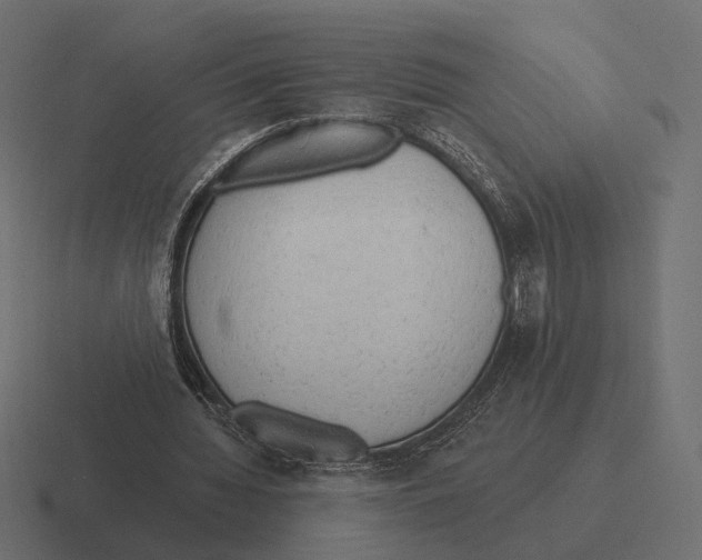 X0000116300436200912291435