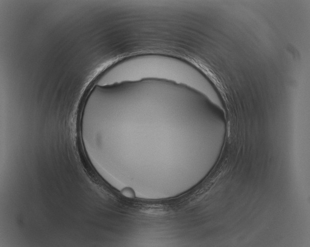 X0000116300438200912291435