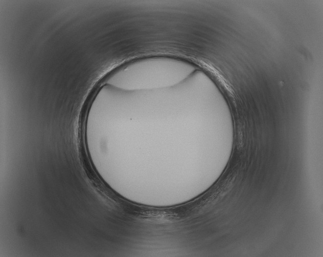 X0000116300439200912291435