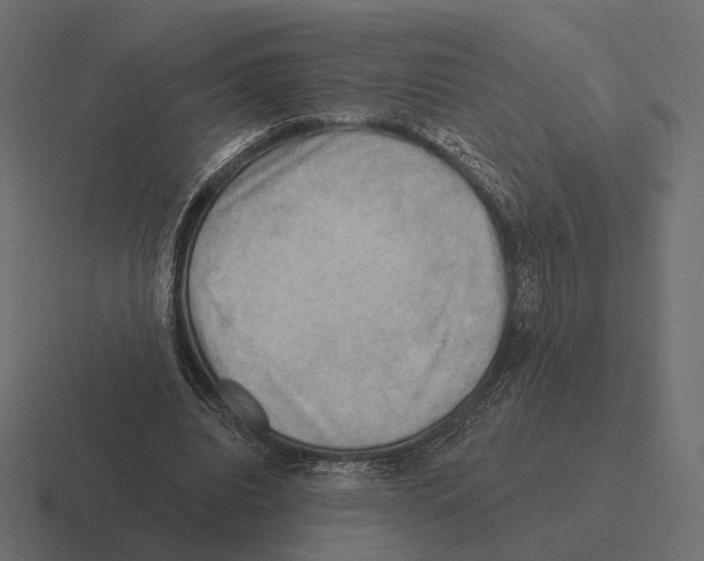 X0000116300440200912291435