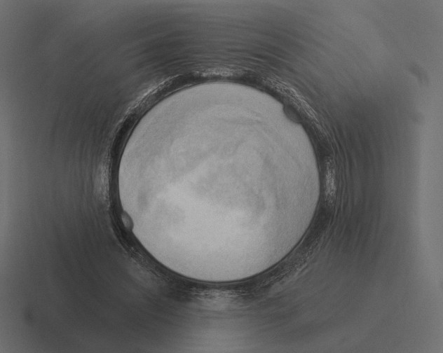 X0000116300444200912291435