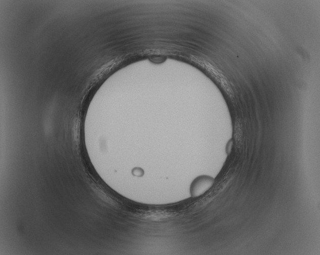 X0000116300445200912291435