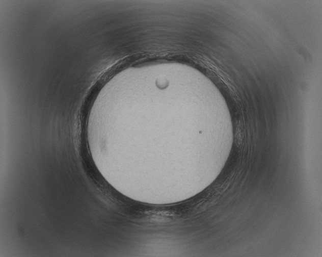 X0000116300448200912291435