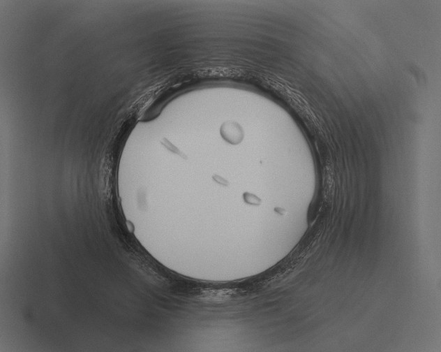 X0000116300450200912291435