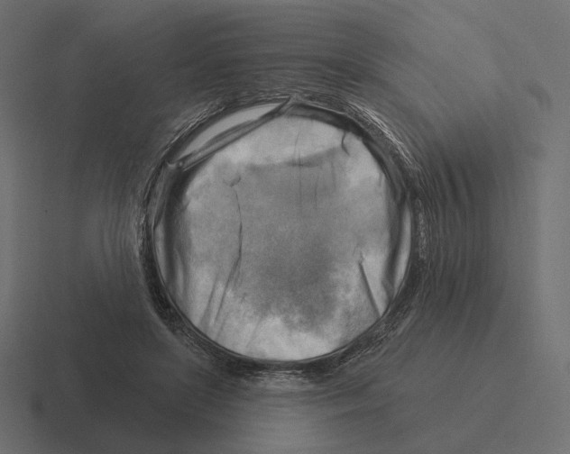 X0000116300451200912291435