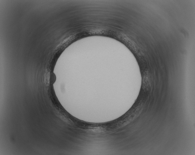 X0000116300454200912291435