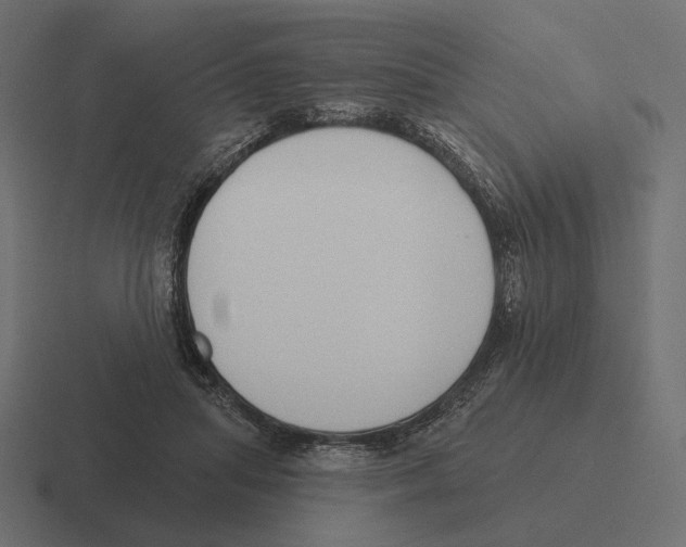 X0000116300455200912291435