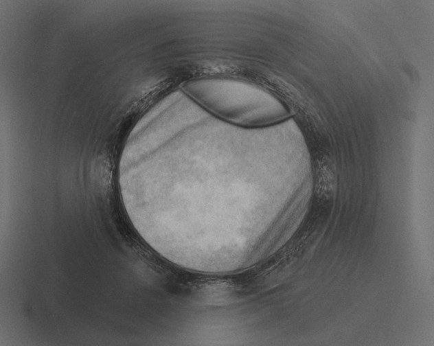 X0000116300456200912291435