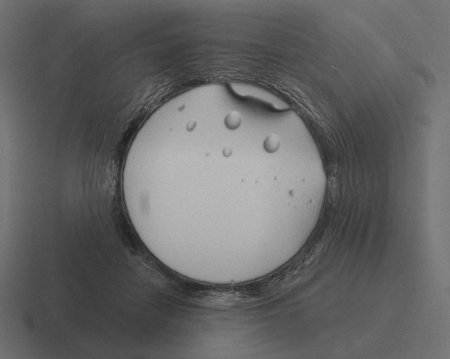 X0000116300458200912291435