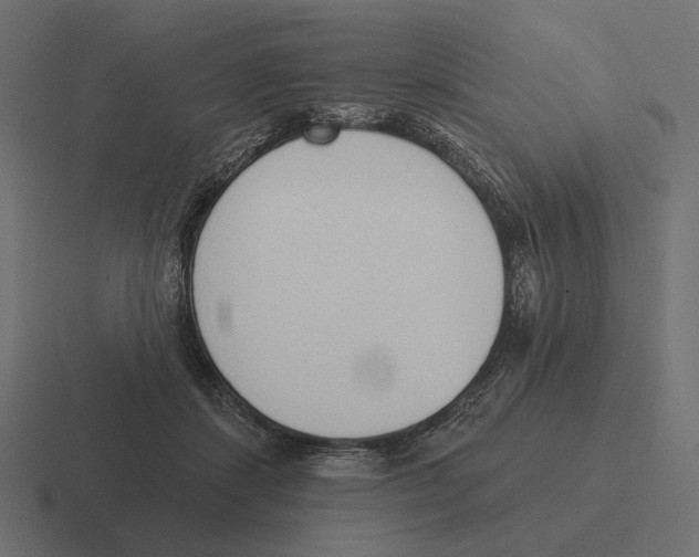 X0000116300459200912291435