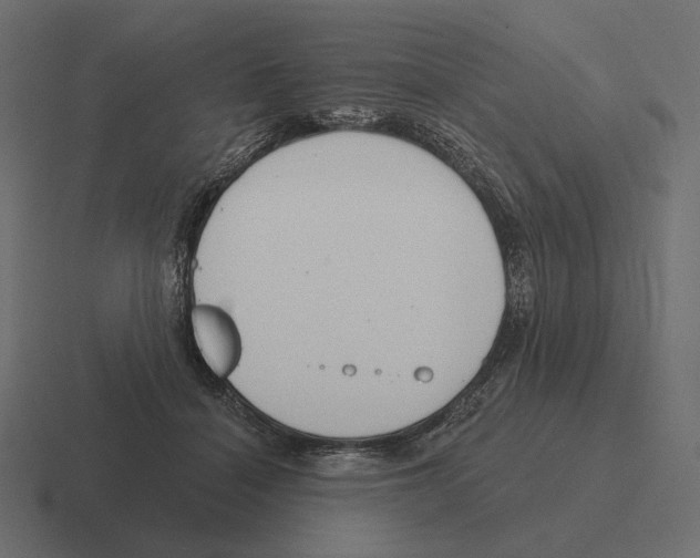 X0000116300460200912291435