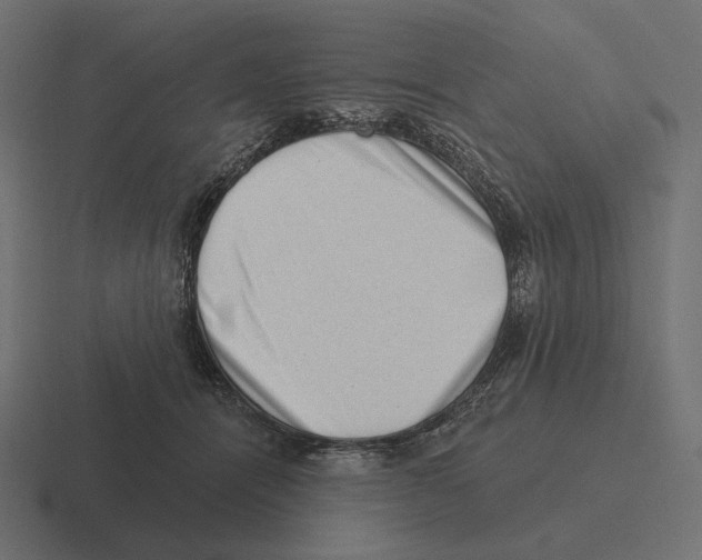 X0000116300464200912291435