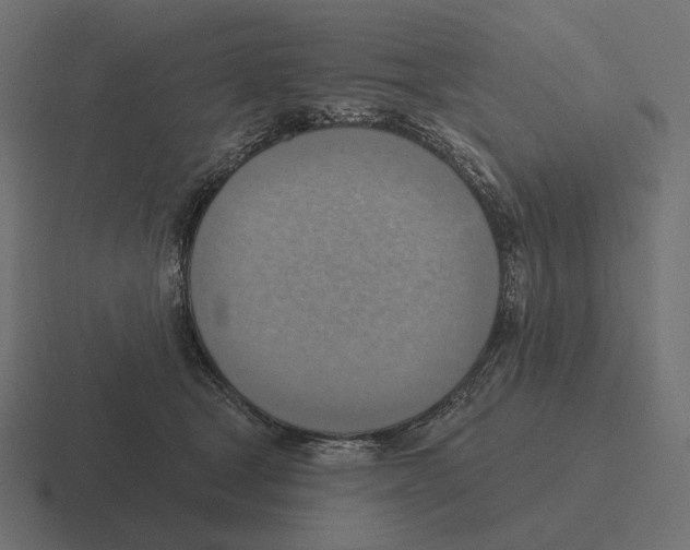 X0000116300465200912291435