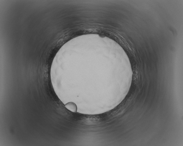 X0000116300466200912291435