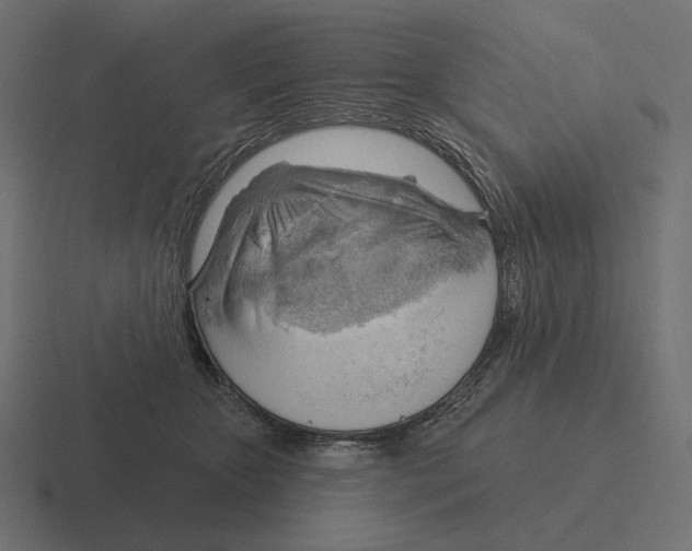 X0000116300467200912291435