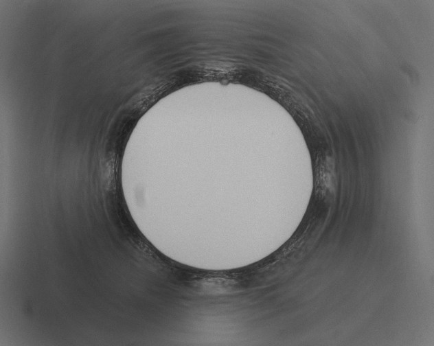 X0000116300468200912291435