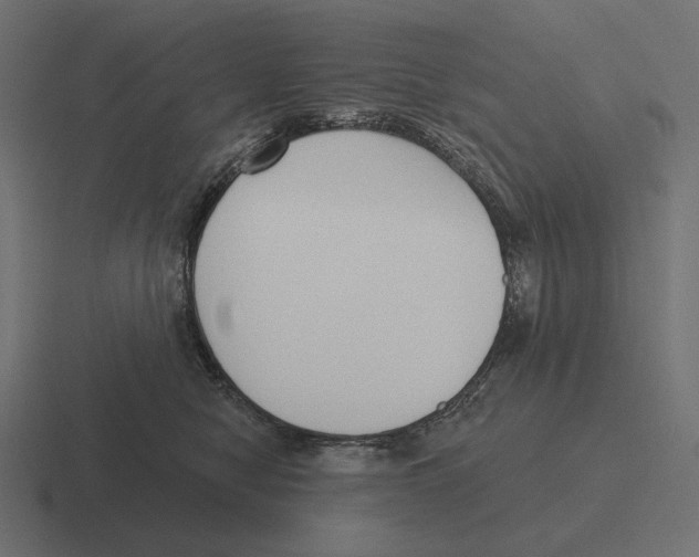 X0000116300470200912291435