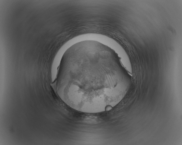 X0000116300471200912291435