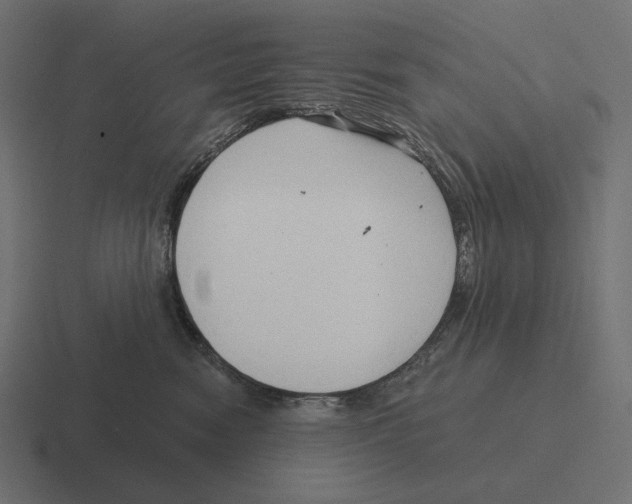 X0000116300474200912291435