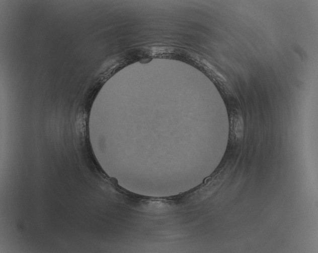 X0000116300475200912291435