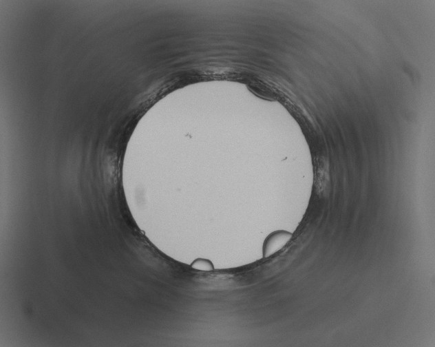 X0000116300476200912291435