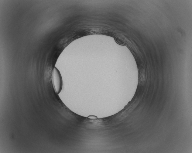 X0000116300478200912291435