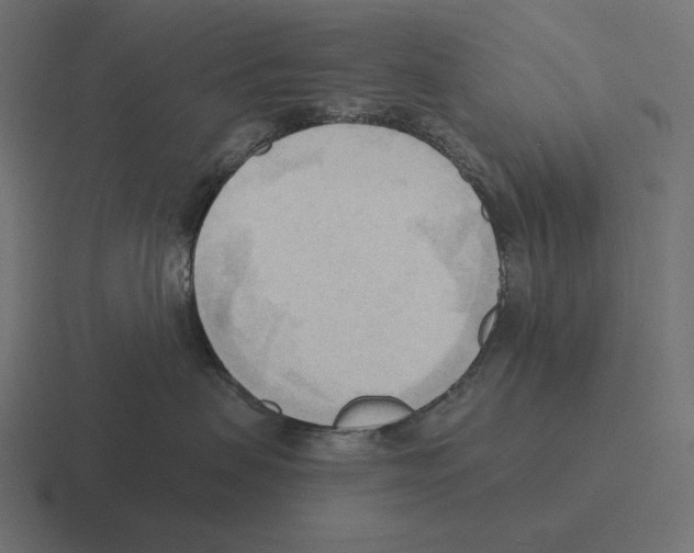 X0000116300479200912291435